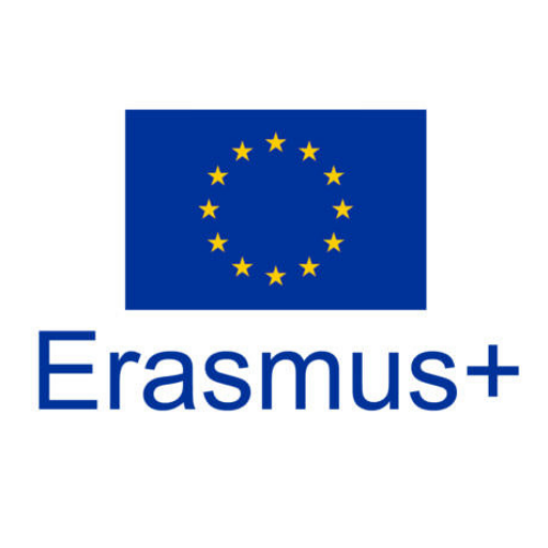 Erasmus+ Proposal Template