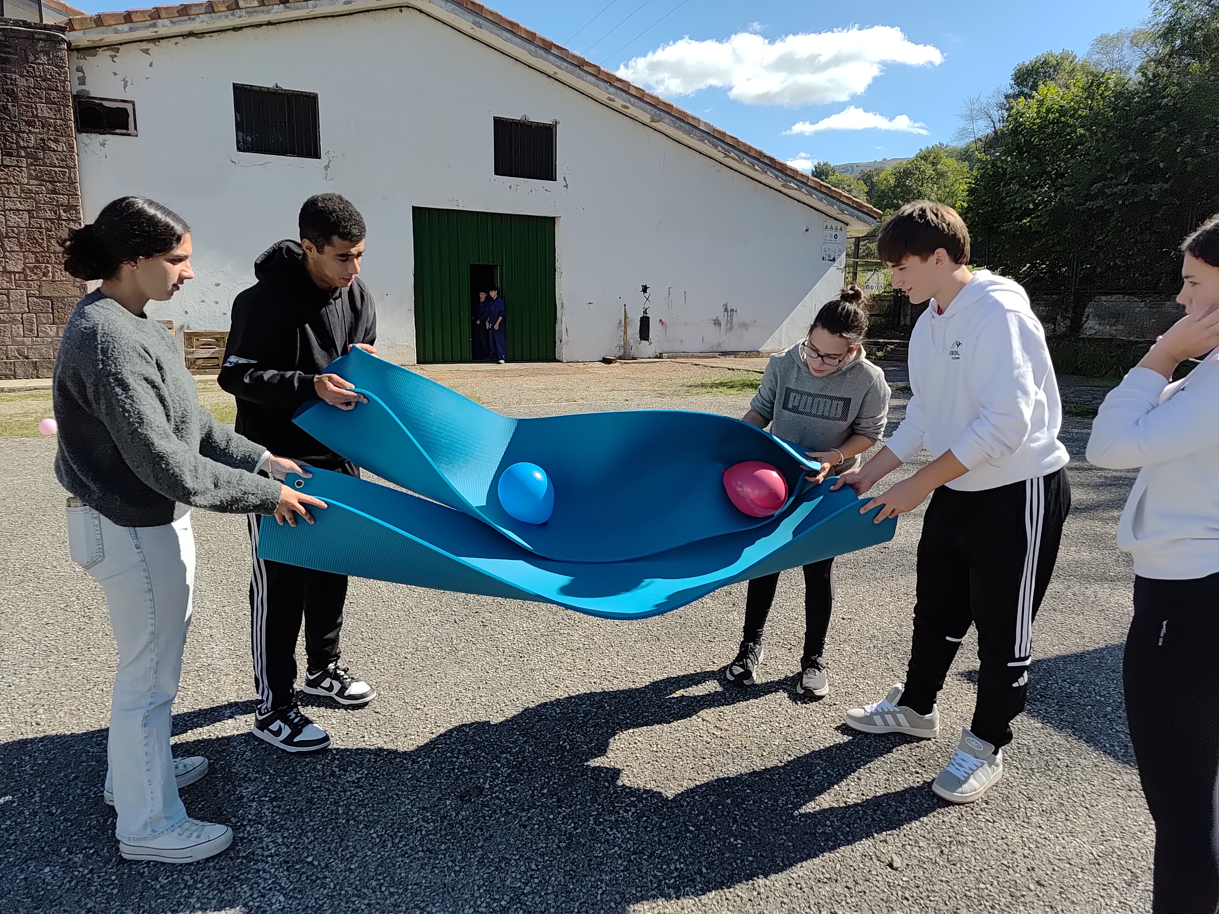 Proyecto de la Residencia