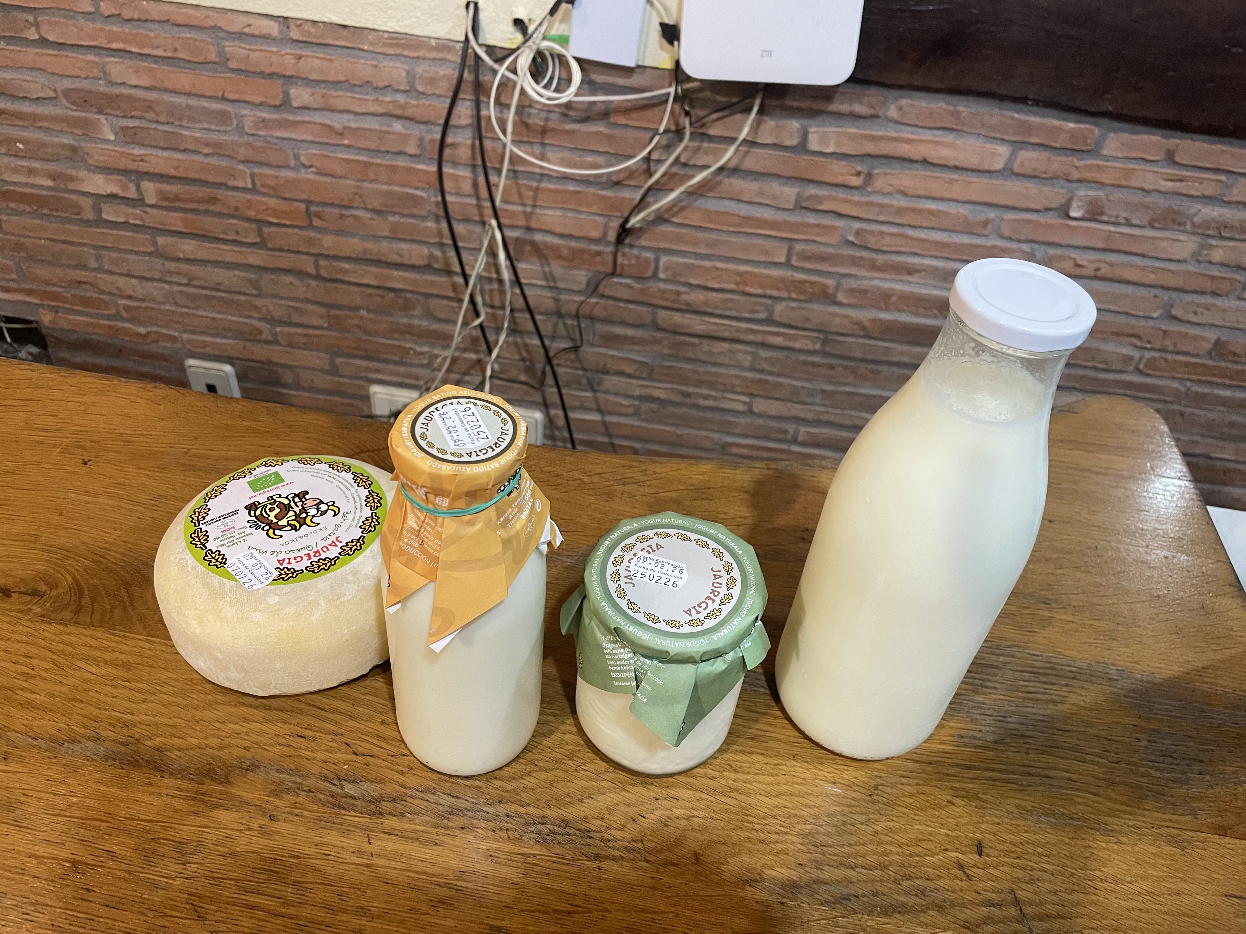 JAUREGIA ESNEKIAK IRTEERA